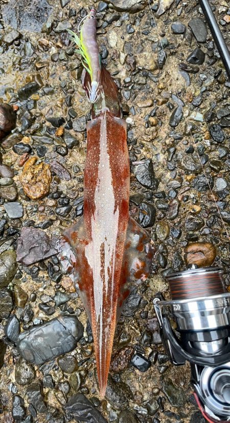 この一瞬のため！