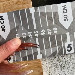 食べごろマダイ