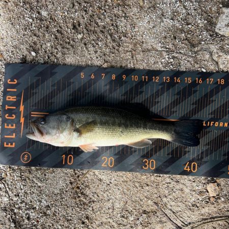 2024年ホームレイク