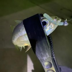 アジングランガン