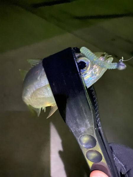 アジングランガン