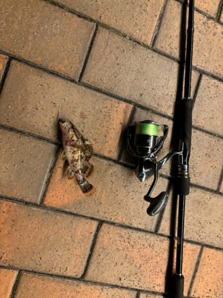 前回と同じとはならず🐟