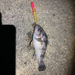 ルアーフィッシング