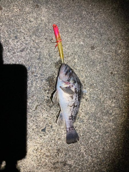 ルアーフィッシング