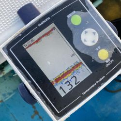 大阪湾＊クログチ☆