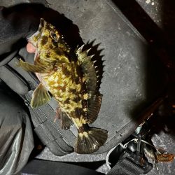 激渋ライトゲーム