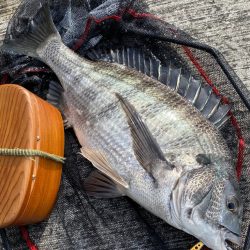 ヘチってきました