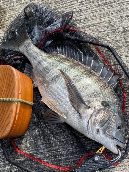 ヘチってきました