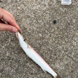 真昼間の短時間ライトゲーム