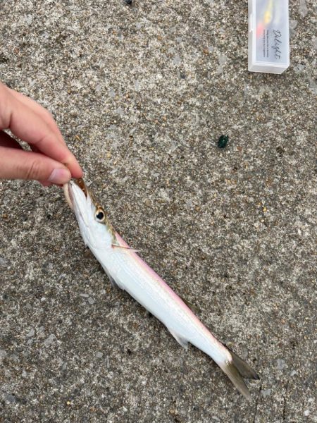 真昼間の短時間ライトゲーム