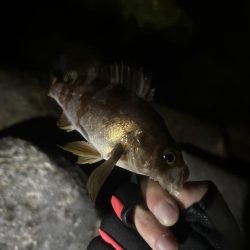 いつもとは違うポイントへ