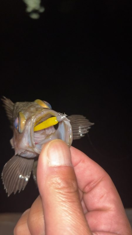 仕事終わりメバリング