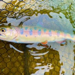 OPEN！リバーランズ山都！