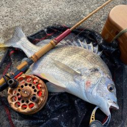 ヘチってきました