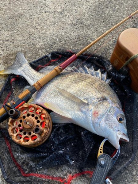 ヘチってきました