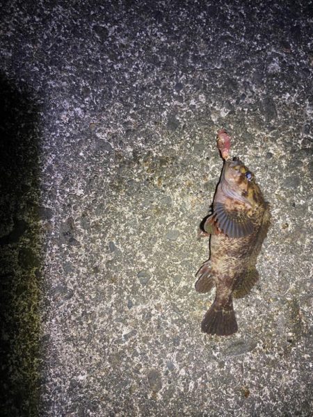 フロート、ライトプラッキング