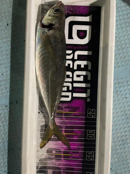 バチコンアジング