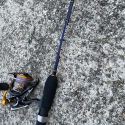 ランガンアジング