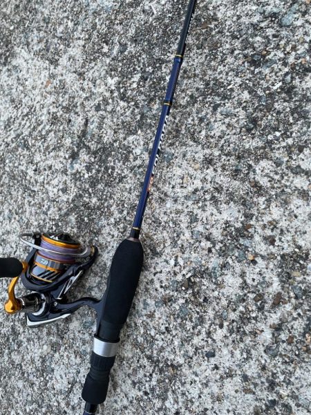 ランガンアジング