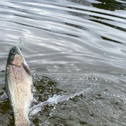 かめプー良いとこ一度はおいで〜