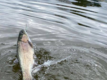 かめプー良いとこ一度はおいで〜