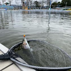 平日は釣り人も少ない、かめプー