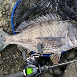 土曜日チニング