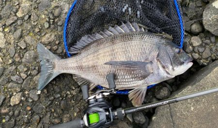 土曜日チニング