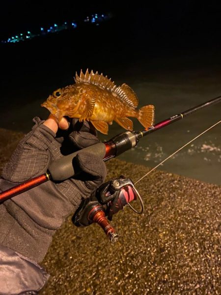 ライトゲーム兵庫縦断