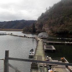 ワカサギ第9戦絶好調〜佐仲ダム〜