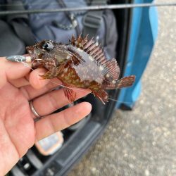 旅行のスキマ時間ライトゲーム