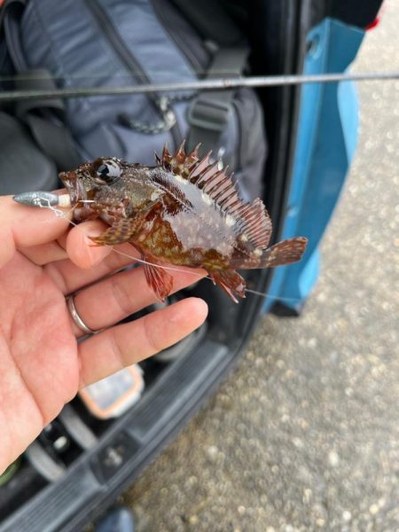 旅行のスキマ時間ライトゲーム