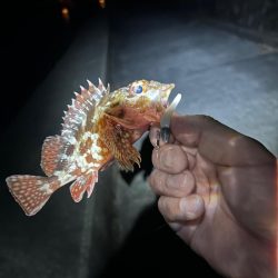 仕事帰りのちょこっとライトワインド♪