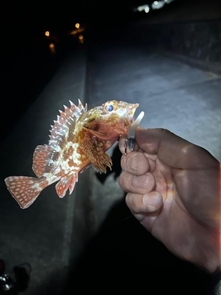 仕事帰りのちょこっとライトワインド♪