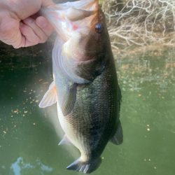 1日ボート釣行！