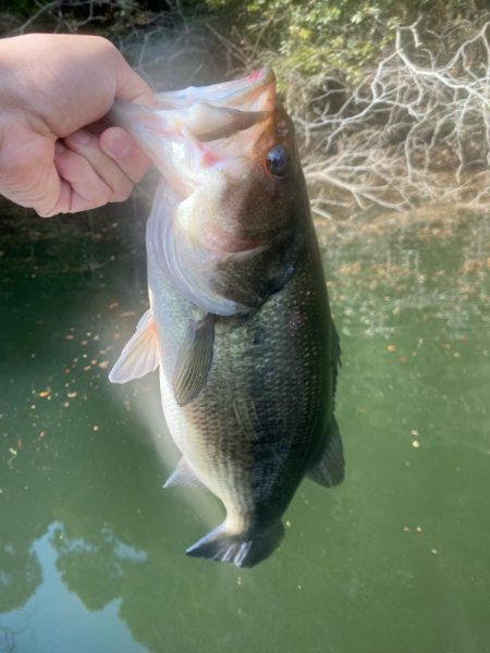 1日ボート釣行！