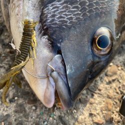 また冷えて来ました