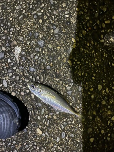 ライトゲームin和歌山