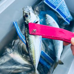 朝から人がたくさん