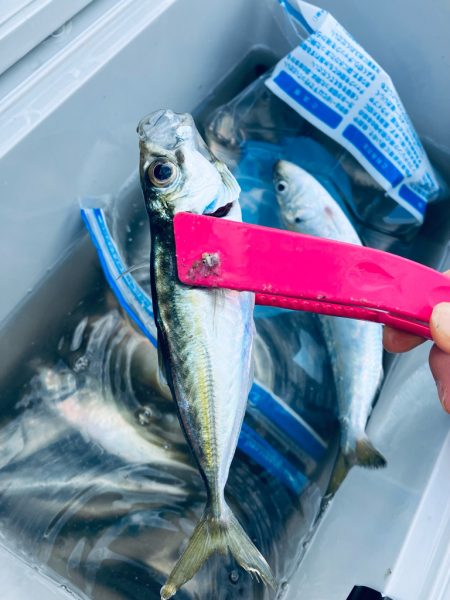 朝から人がたくさん