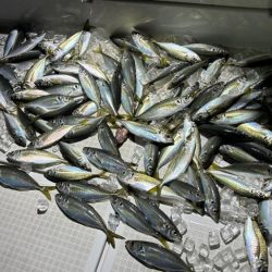 初ボートアジング