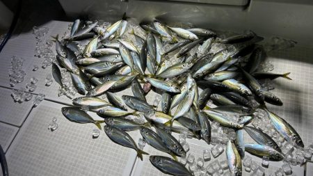 初ボートアジング