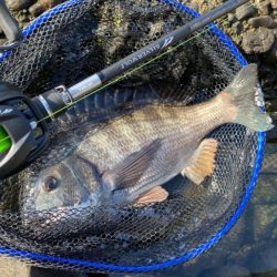 Newロッド闘魂注入