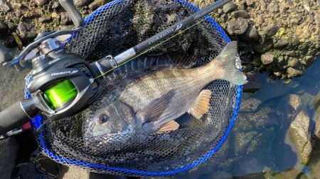 Newロッド闘魂注入