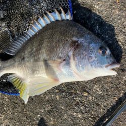 潮と心は少し濁ってるくらいが丁度いい