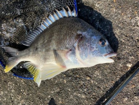 潮と心は少し濁ってるくらいが丁度いい