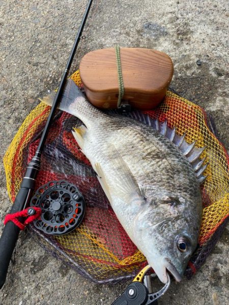 ヘチってきました