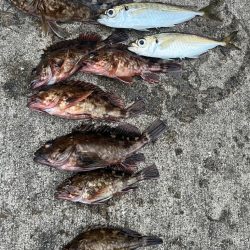 ガシリング アタリ多いです