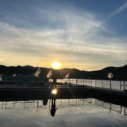 あなたに逢い鯛釣り堀　夕まずめ