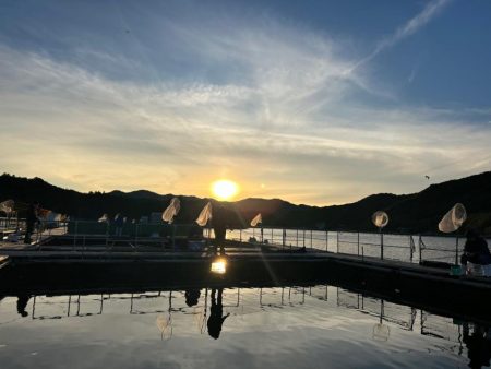 あなたに逢い鯛釣り堀　夕まずめ